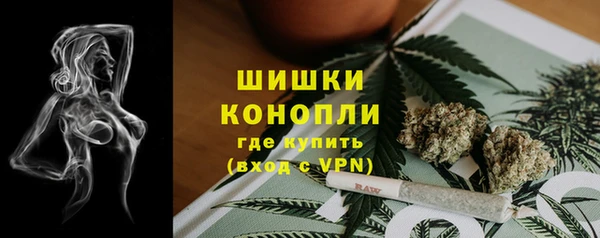 spice Бородино