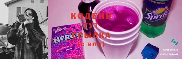spice Бородино