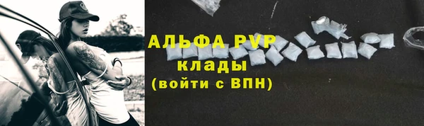 spice Бородино
