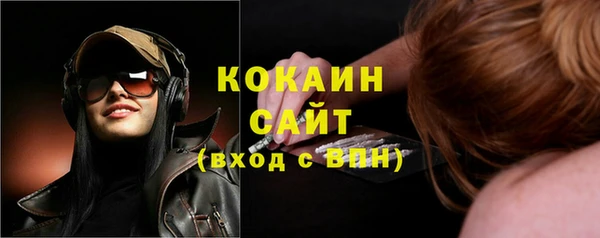 дурь Бронницы