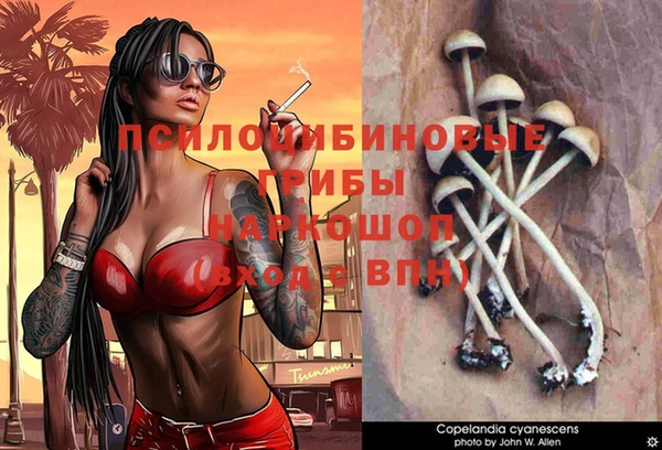 дурь Бронницы