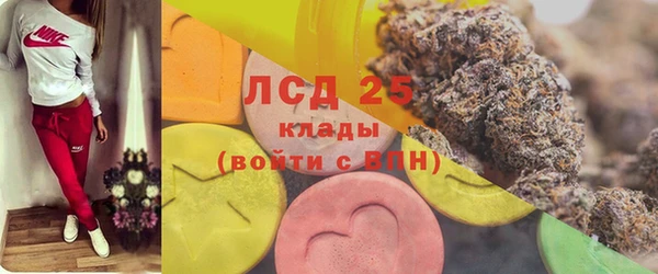 spice Бородино