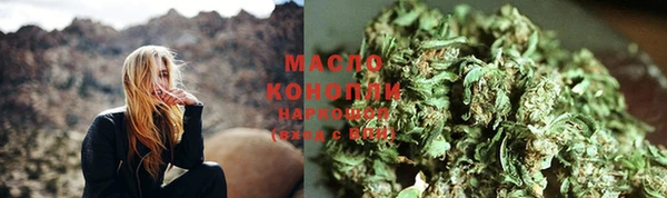 spice Бородино