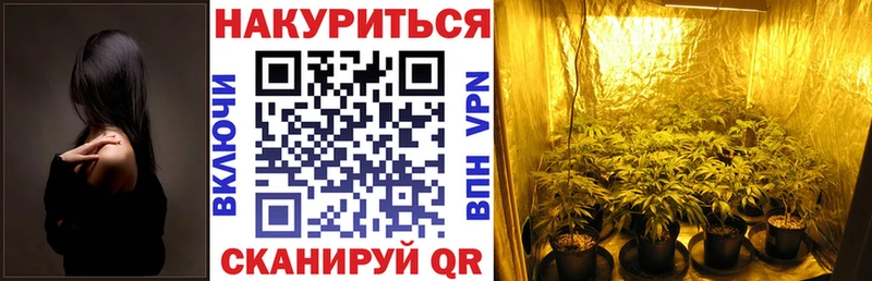 Канабис THC 21%  Купить где  Высоцк 